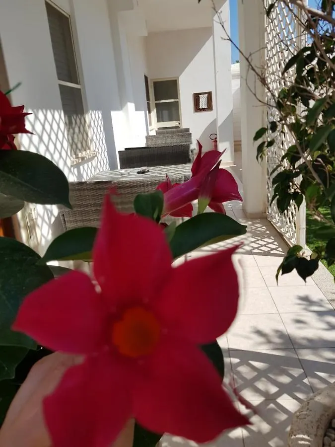 Penzion Zia Mia B&B Olbia Itálie