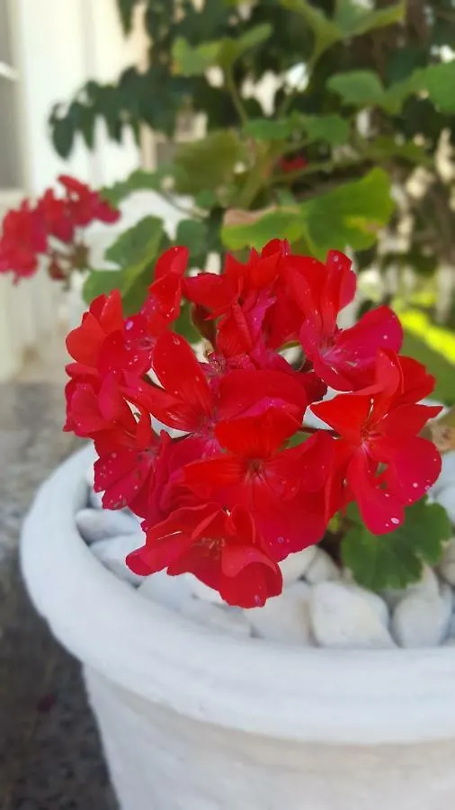 Zia Mia B&B Olbia